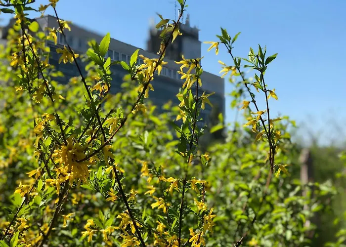 Juno Vendeghaz Мишкольц